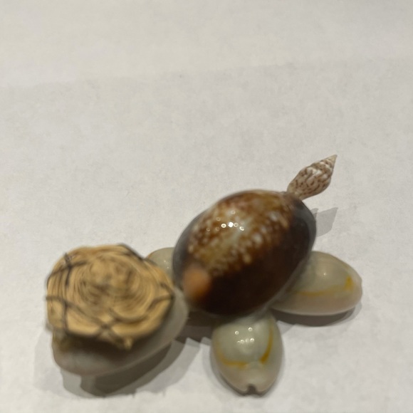 Cowrie Shell Turtles  Set of 2  Handmade - Picture 5 of 9